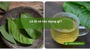 Lá ổi có tác dụng gì?