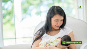 Phụ nữ đang mang thai hoặc cho con bú