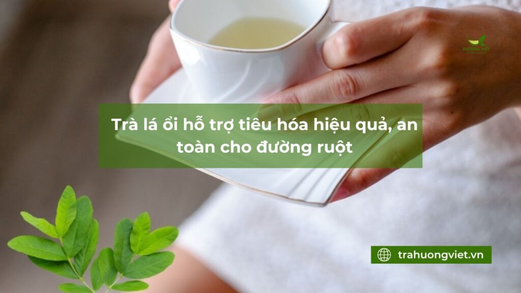 Trà lá ổi hỗ trợ tiêu hóa hiệu quả, an toàn cho đường ruột