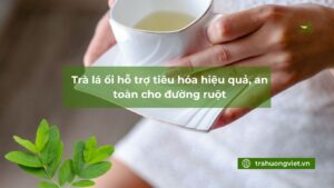 Trà lá ổi hỗ trợ tiêu hóa hiệu quả, an toàn cho đường ruột