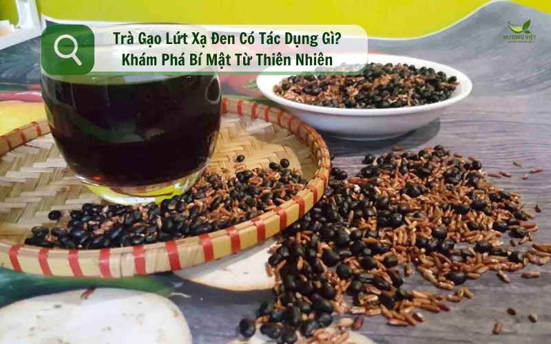 Trà Gạo Lứt Xạ Đen Có Tác Dụng Gì? Khám Phá Bí Mật Từ Thiên Nhiên