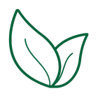 TRÀ HƯƠNG VIỆT