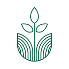 Tầm Cao