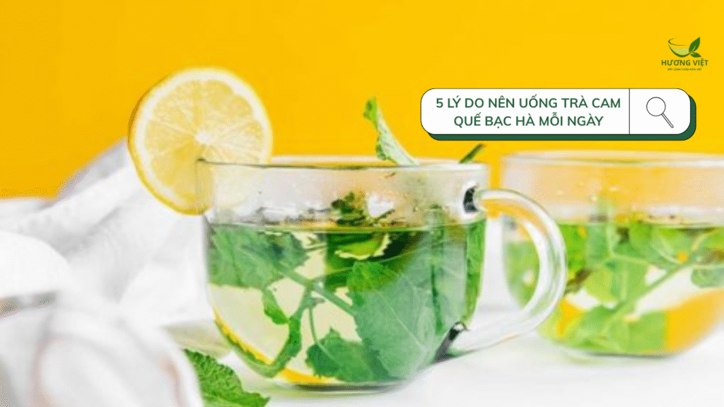 5 Lý Do Nên Uống Trà Cam Quế Bạc Hà Mỗi Ngày