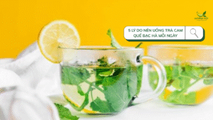 5 Lý Do Nên Uống Trà Cam Quế Bạc Hà Mỗi Ngày