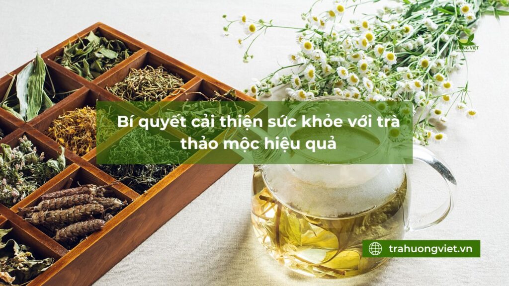 Bí quyết cải thiện sức khỏe với trà thảo mộc hiệu quả