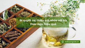Bí quyết cải thiện sức khỏe với trà thảo mộc hiệu quả