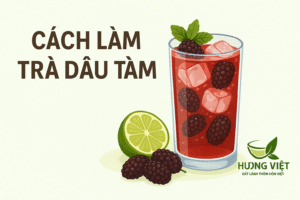cách làm trà dâu tằm
